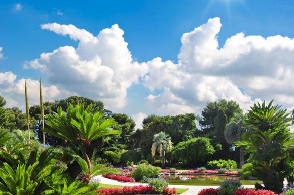 Aménagement jardin méditerranéen - Cheval-Blanc - O'Vert Jardin