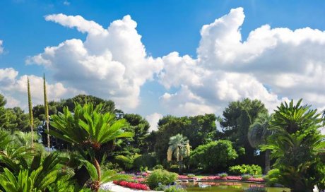 Aménagement jardin méditerranéen - Cheval-Blanc - O'Vert Jardin